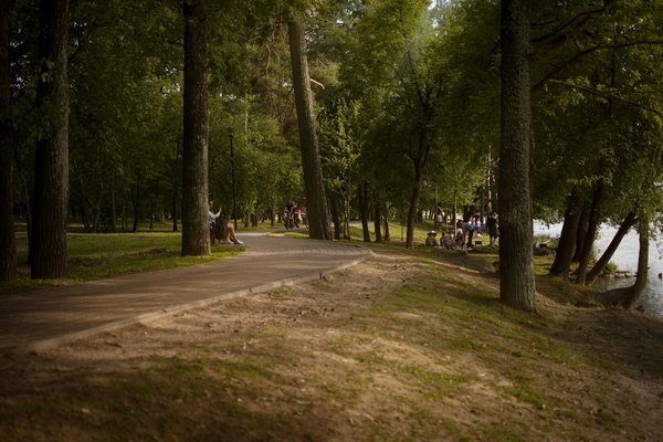 Découvrez la meilleure boutique cbd pour vos besoins